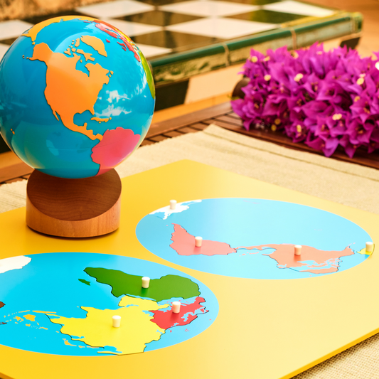 Quelle différences y'a t'il entre globe, planisphère, mappemonde et carte ?